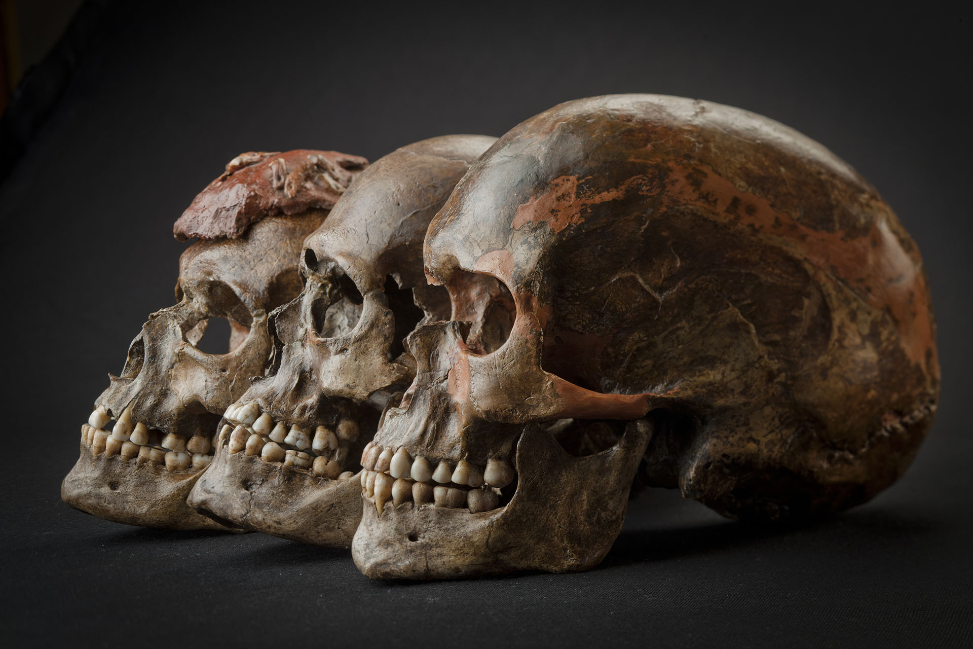 We are piecing together the mosaic of knowledge of the first anatomically modern people in Europe